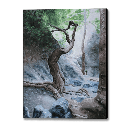 Mediterranean Canvas Print by Theo Michael, Cyprus woodland scene