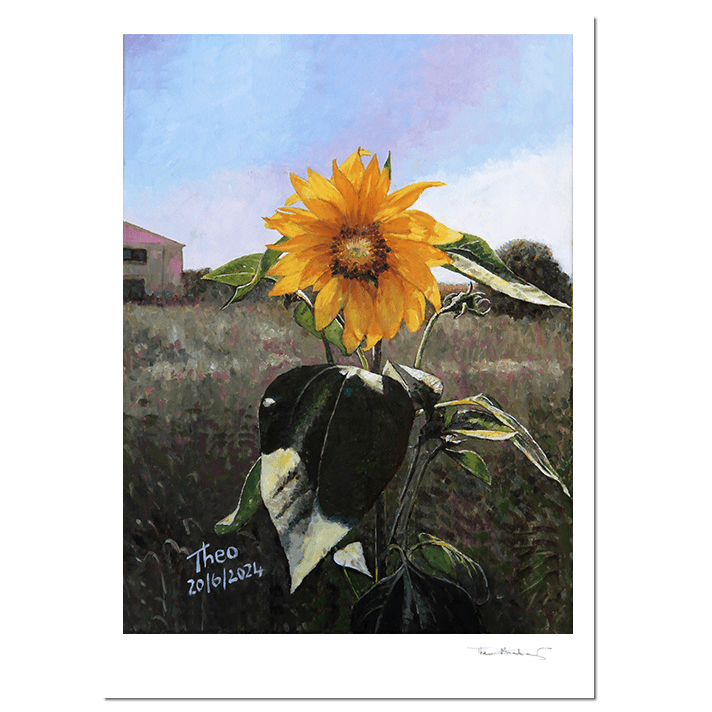 The Sunflower