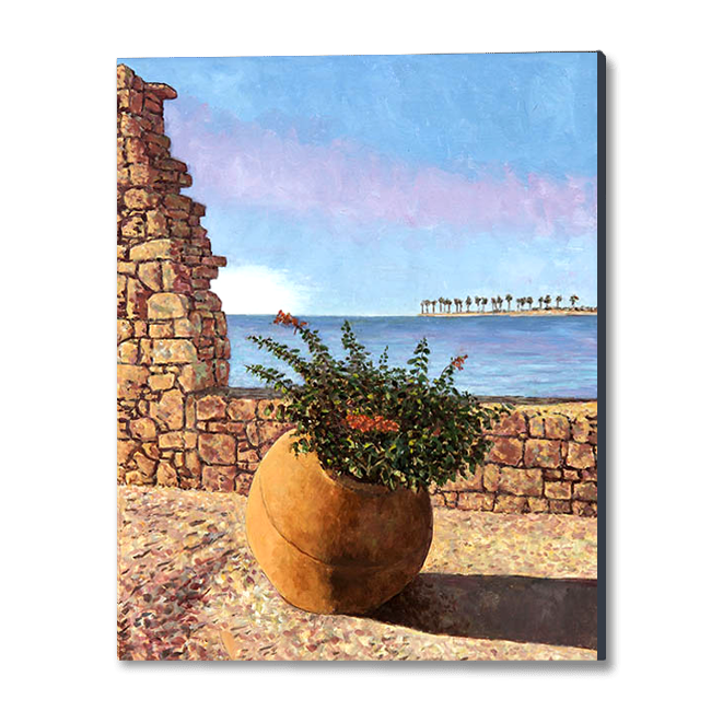 Cyprus oil painting, The Sunlit Terracotta Pot