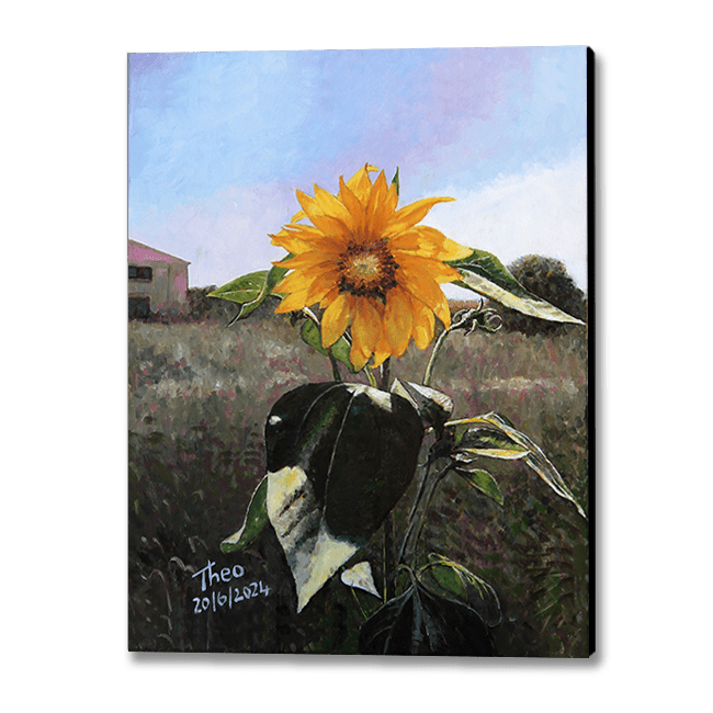 The Sunflower