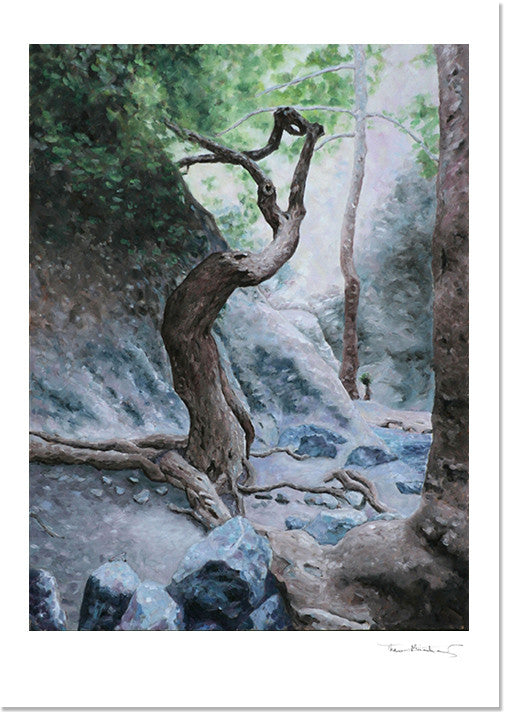 Mediterranean Fine Art Print by Theo Michael, Cyprus woodland scene